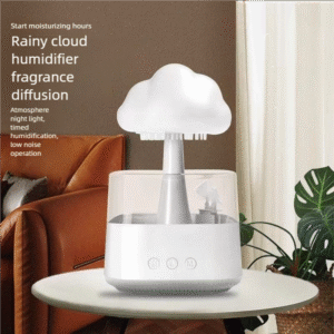 Mushroom rain cloud humidifier