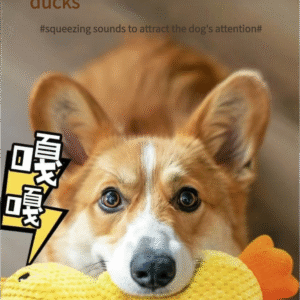 Pet bionic duck