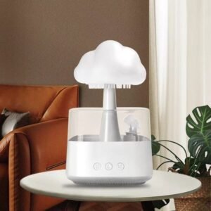 Mushroom rain cloud humidifier